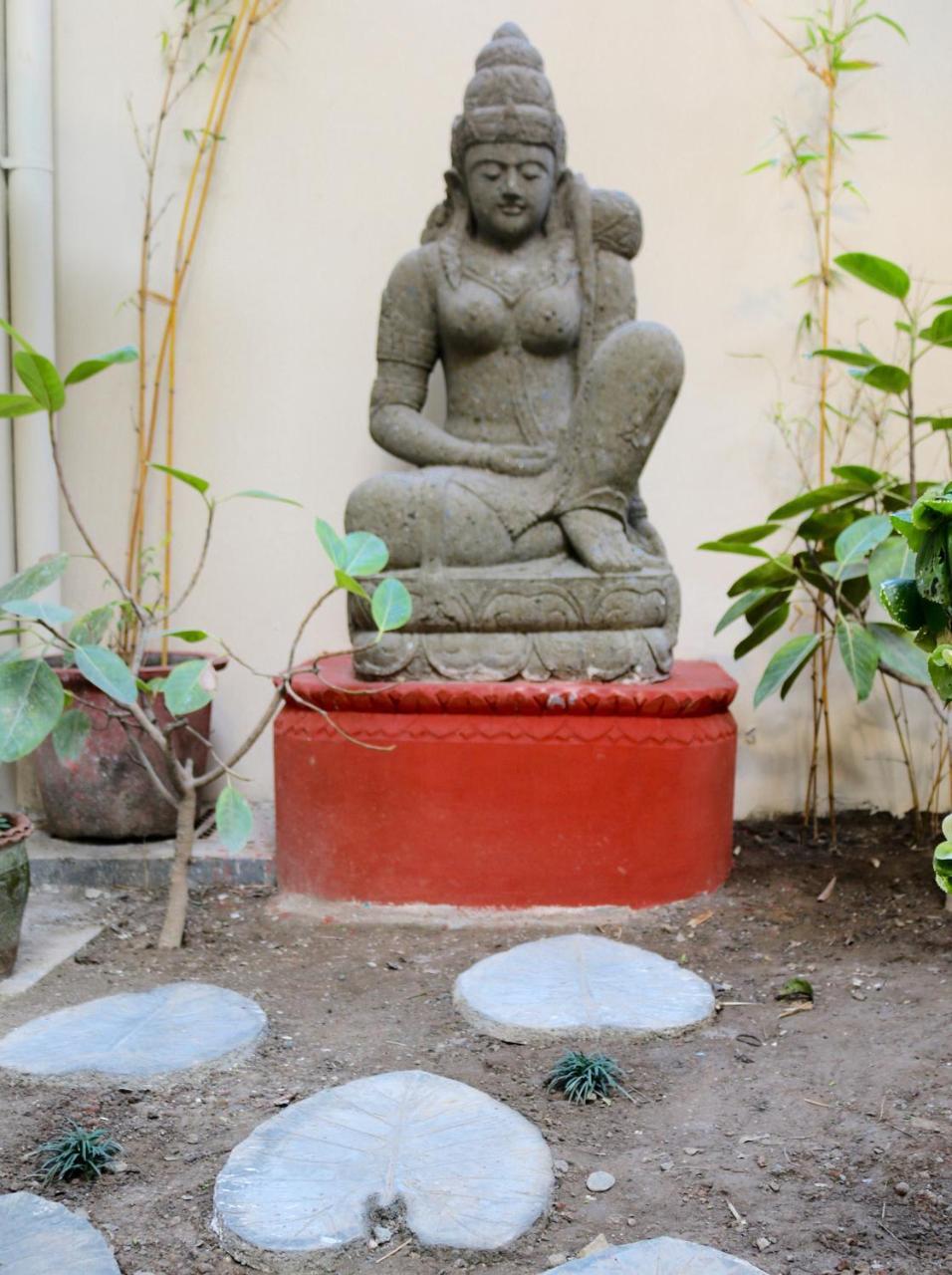 Mango Tree Courtyard Dehradun Hotel Eksteriør billede